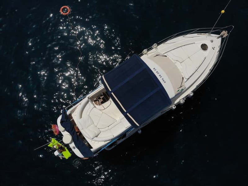 Mogan: Dolphin Watching Boat Trip with Swim Stop - Snorkeling, paddleboarding, and the beach stop
