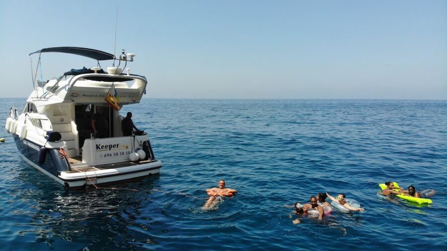 Mogan: Dolphin Watching Boat Trip with Swim Stop - How the small group changes the experience