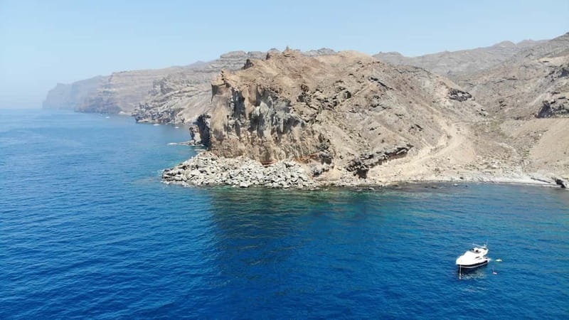 Mogan: Dolphin Watching Boat Trip with Swim Stop - Practical details for a smoother day