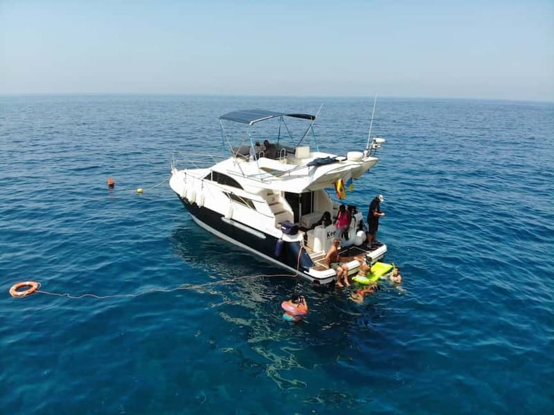 Mogan: Dolphin Watching Boat Trip with Swim Stop - The dolphin search in the Atlantic