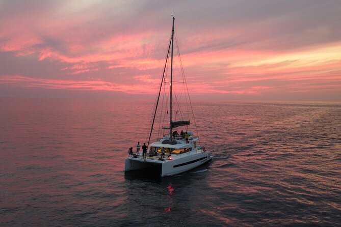 Morning cruise - Key things to know before booking