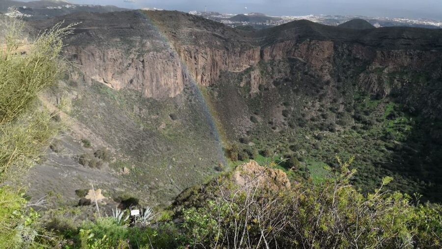 Private Bandama Caldera Volcano, Botanic Garden & Old Town - The Canary Garden: free entry, huge grounds