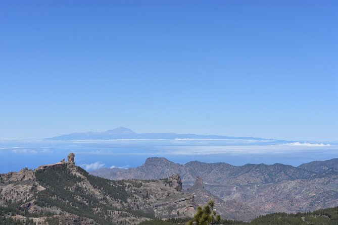 Private Tour Guide in Gran Canaria - Key things to know before you book
