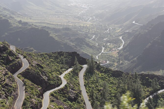 Private Tour Guide in Gran Canaria - How much value do you get for $675.82?