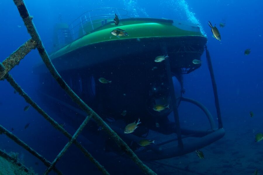 Puerto de Mogán: Submarine Tour - Shipwrecks, fish, and the artificial reef