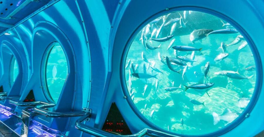 Puerto de Mogán: Submarine Tour - Why the 40-minute duration works