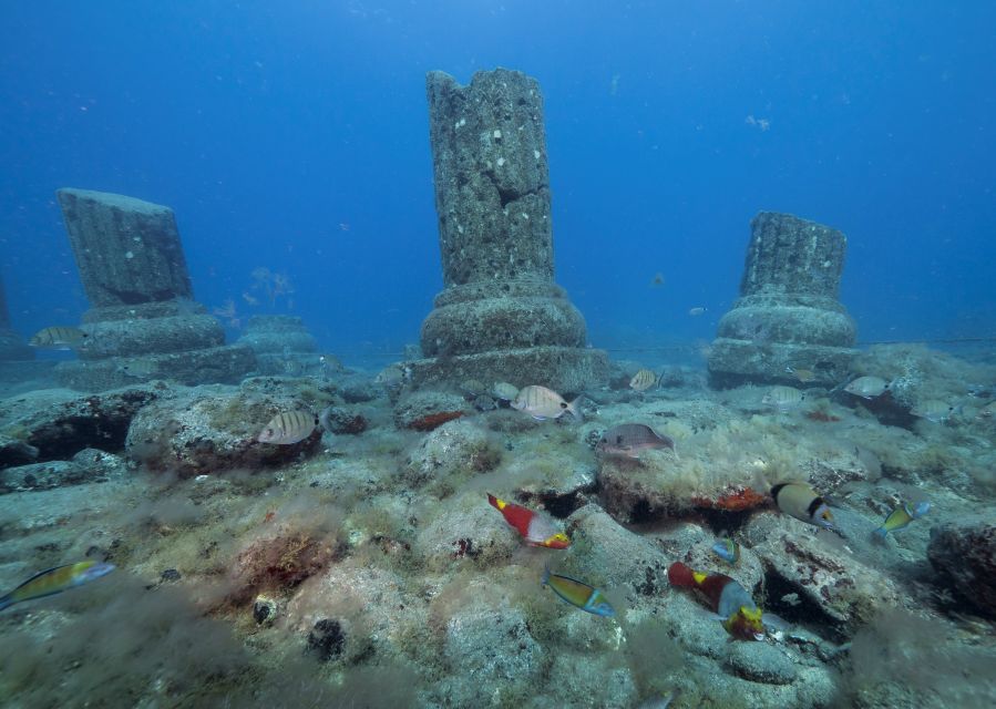 Puerto de Mogán: Submarine Tour - Comfort, access, and who should skip it