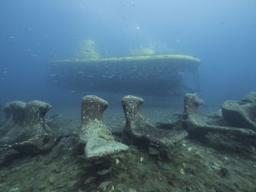 Puerto de Mogán: Submarine Tour - Is $45 good value?