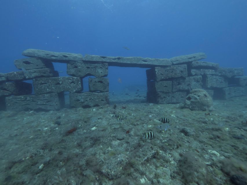 Puerto de Mogán: Submarine Tour - Going down to 25 metres