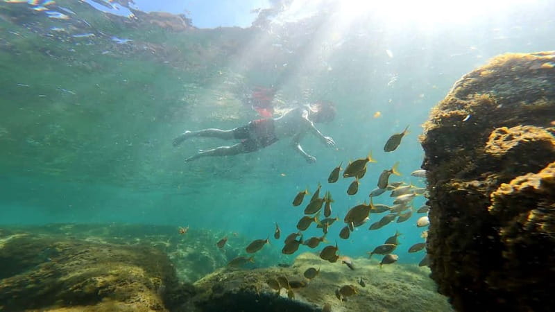 Puerto Mogán: Guided Adventure Kayak Tour in Caves & Snorkel - Key points to know before booking