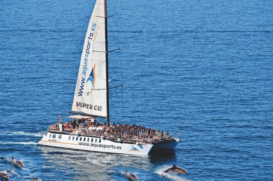 Puerto Rico : 2 hour Dolphin Catamaran Excursion - Key points at a glance
