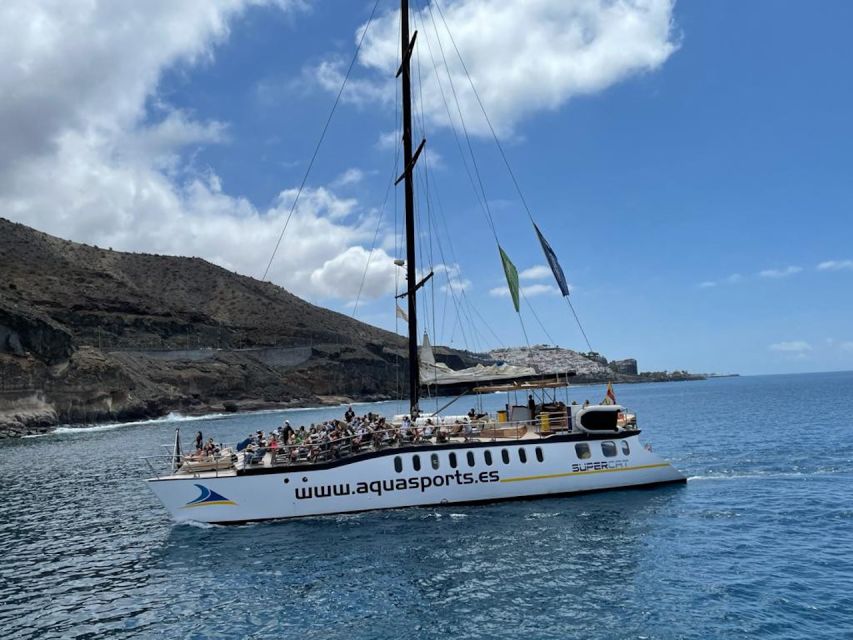 Puerto Rico : 2 hour Dolphin Catamaran Excursion - Is the Puerto Rico dolphin catamaran worth booking?