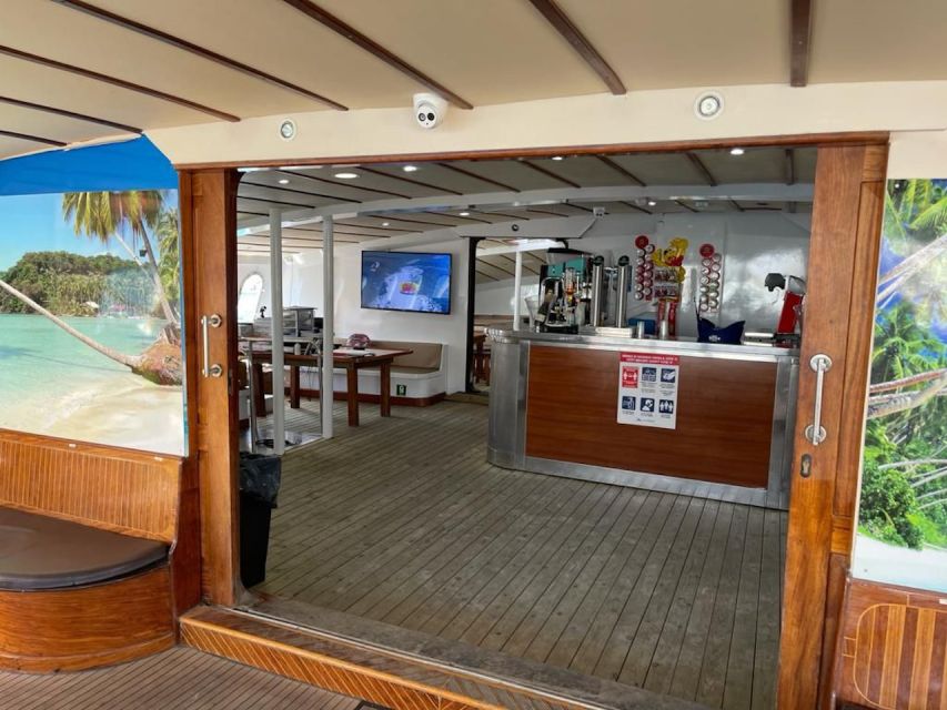 Puerto Rico : 2 hour Dolphin Catamaran Excursion - Dolphins, whales, turtles, and flying fish