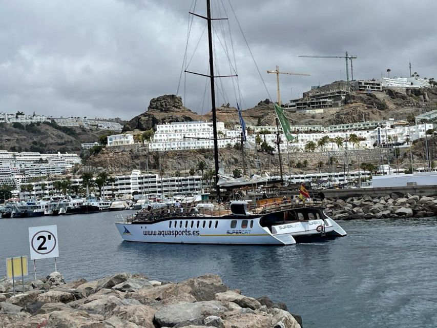 Puerto Rico : 2 hour Dolphin Catamaran Excursion - Life aboard the catamaran