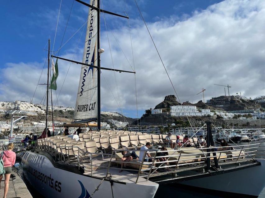 Puerto Rico : 2 hour Dolphin Catamaran Excursion - The crew and the tone of the trip