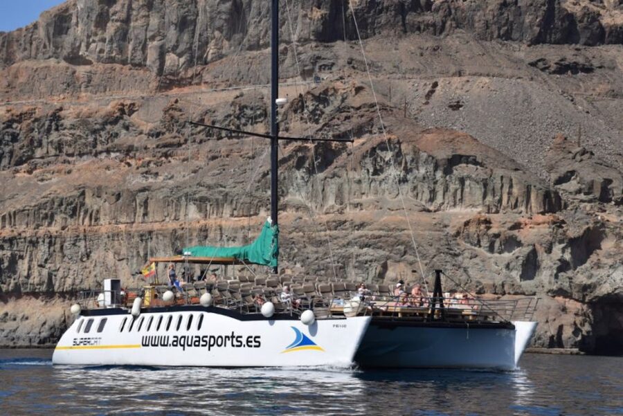 Puerto Rico : 2 hour Dolphin Catamaran Excursion - Booking, cancellation, and practical planning