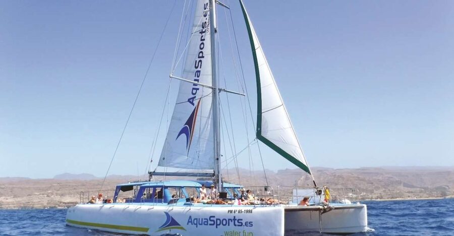 Puerto Rico: 4-Hour Catamaran Excursion in the South - The Swimming Stop and Snorkeling