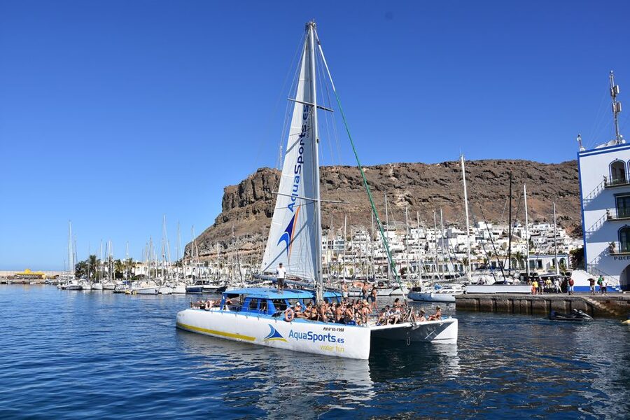 Puerto Rico: 4-Hour Catamaran Excursion in the South - Dolphins, Wildlife, and Realistic Expectations
