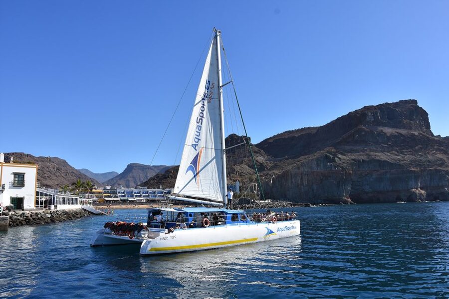 Puerto Rico: 4-Hour Catamaran Excursion in the South - The Banana Ride and Optional Water Activities