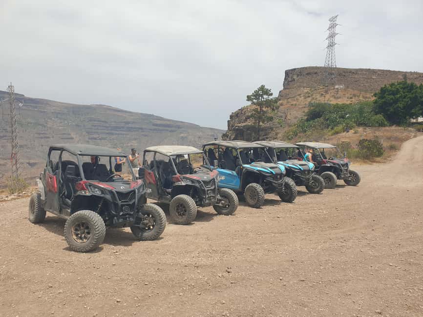 Puerto Rico de Gran Canaria: Dirt Buggy Tour - Should you book the Puerto Rico buggy tour?
