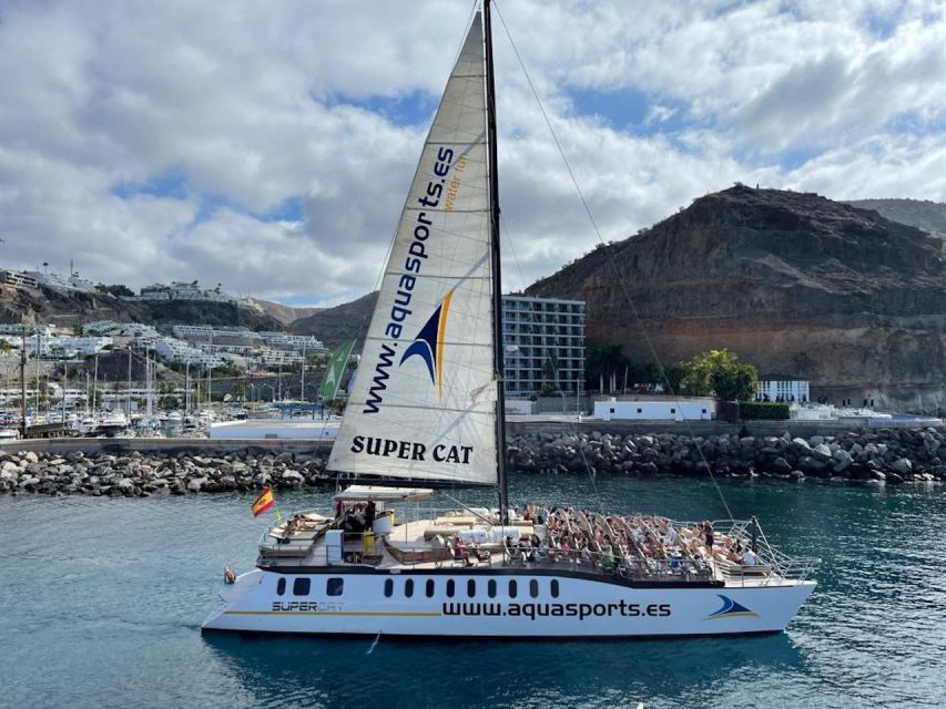 Puerto Rico de Gran Canaria: Premium Dolphin Catamaran Tour - The swim stop and included water activities