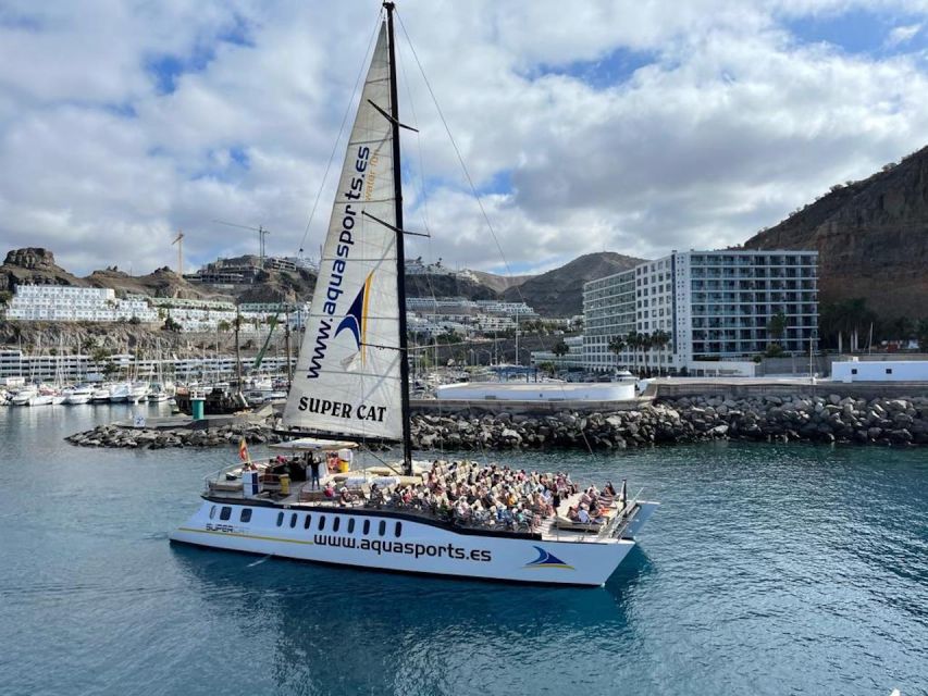Puerto Rico de Gran Canaria: Premium Dolphin Catamaran Tour - Pickup, timing, and sea conditions