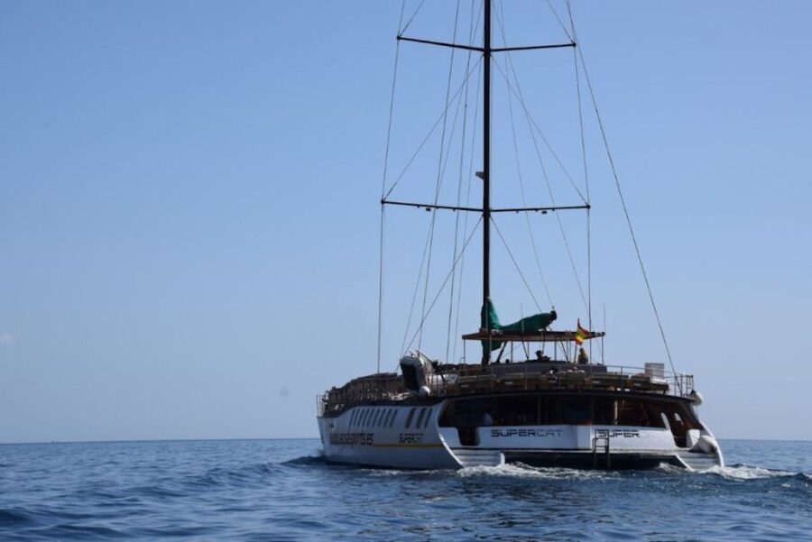 Puerto Rico de Gran Canaria: Premium Dolphin Catamaran Tour - Who will enjoy this catamaran most