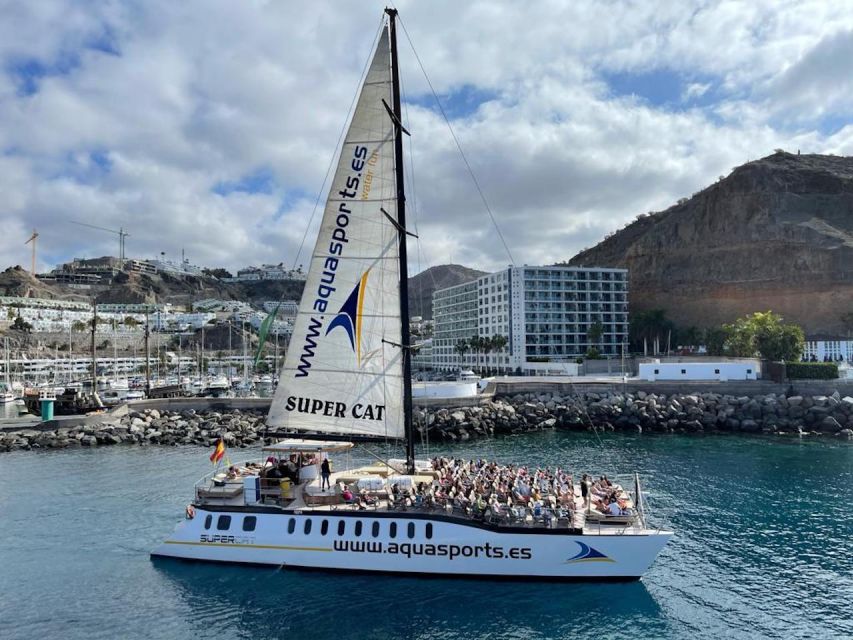 Puerto Rico de Gran Canaria: Premium Dolphin Catamaran Tour - What the 4.1 rating means for your decision