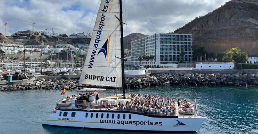 Puerto Rico de Gran Canaria: Premium Dolphin Catamaran Tour - Watching for dolphins in Atlantic waters