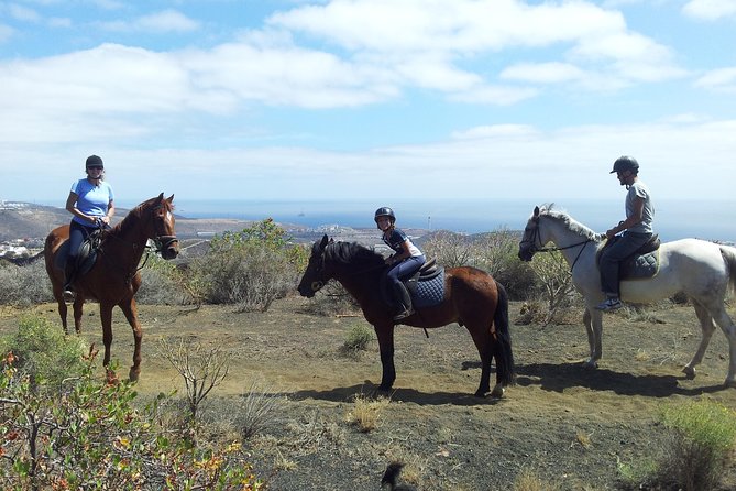 Relaxing Horse Riding Tour in Gran Canaria - Key points at a glance