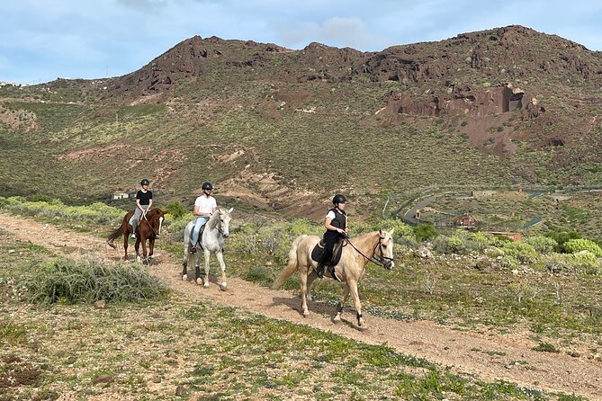 Relaxing Horse Riding Tour in Gran Canaria - Meeting the horses before the ride