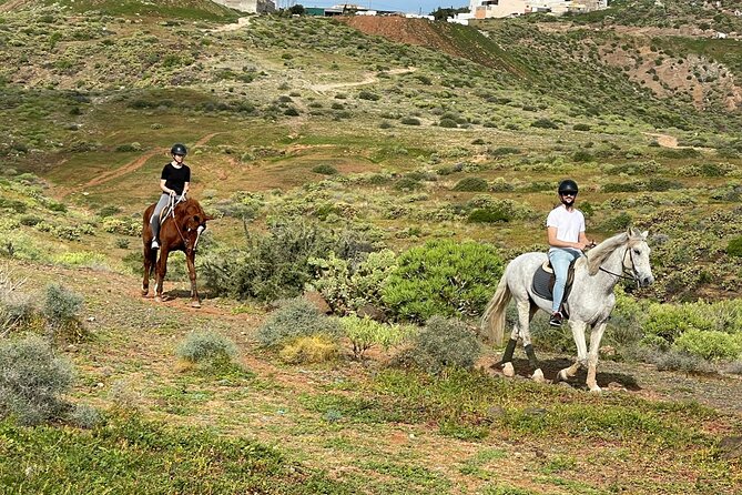 Relaxing Horse Riding Tour in Gran Canaria - Why the horses and guides matter