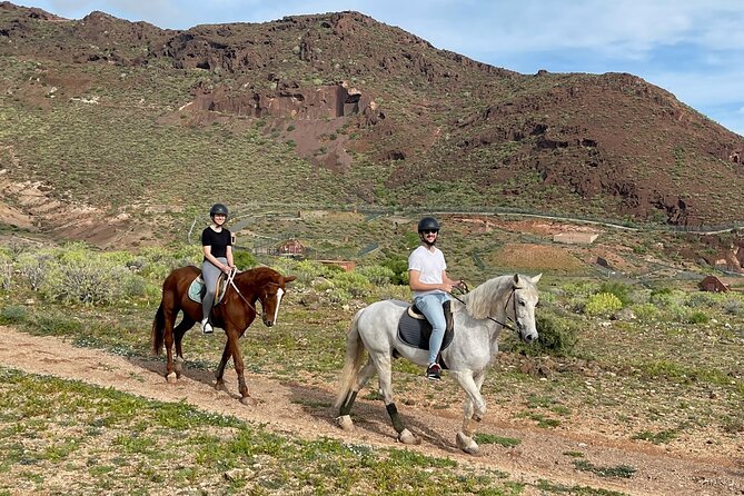 Relaxing Horse Riding Tour in Gran Canaria - Timing, weather, and practical planning