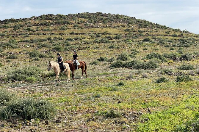 Relaxing Horse Riding Tour in Gran Canaria - What makes the experience special, and what does not