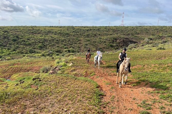 Relaxing Horse Riding Tour in Gran Canaria - Riding toward the sea, mountains, and Cuatro Puertas