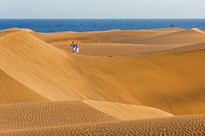 Segway Experience 1 hour Sightseeing Tour : Visit Maspalomas Dunes, Playa Ingles - Safety rules you need to check first