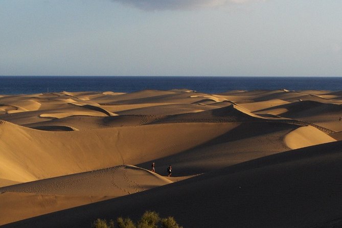 Segway Experience 1 hour Sightseeing Tour : Visit Maspalomas Dunes, Playa Ingles - How the experience feels for beginners