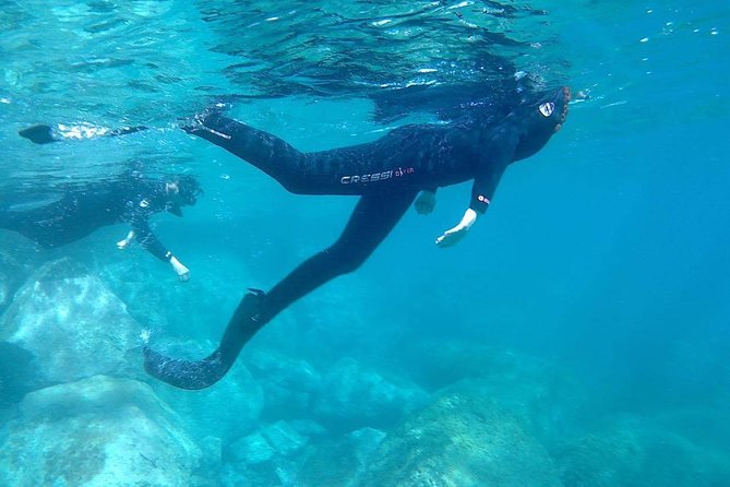 Snorkeling in Gran Canaria with Hotel Pick-up - Why the small group limit matters