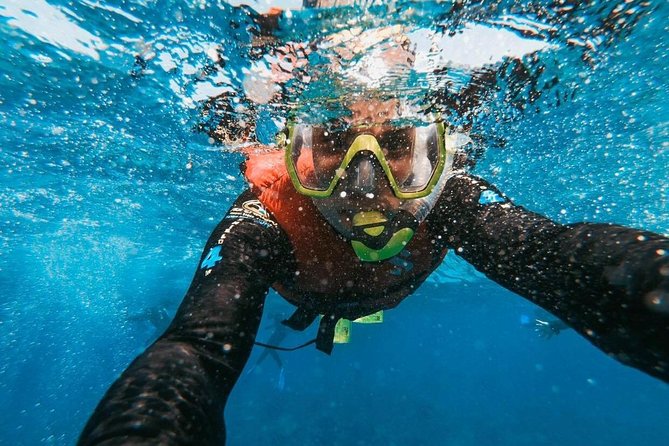 Snorkeling in Gran Canaria with Hotel Pick-up - What the water session feels like for beginners