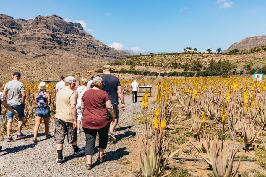 South Gran Canaria: Off-Road Valleys & Villages Jeep Tour - Key points to know before booking