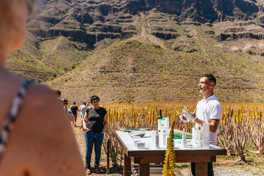 South Gran Canaria: Off-Road Valleys & Villages Jeep Tour - Should you book the South Gran Canaria Jeep Tour?