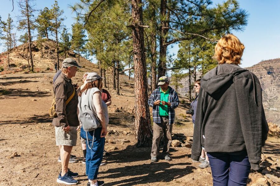 South Gran Canaria: Off-Road Valleys & Villages Jeep Tour - Roque Nublo views and the changing scenery