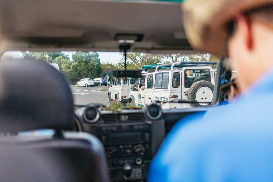 South Gran Canaria: Off-Road Valleys & Villages Jeep Tour - The Valley of the Thousand Palms and Fataga
