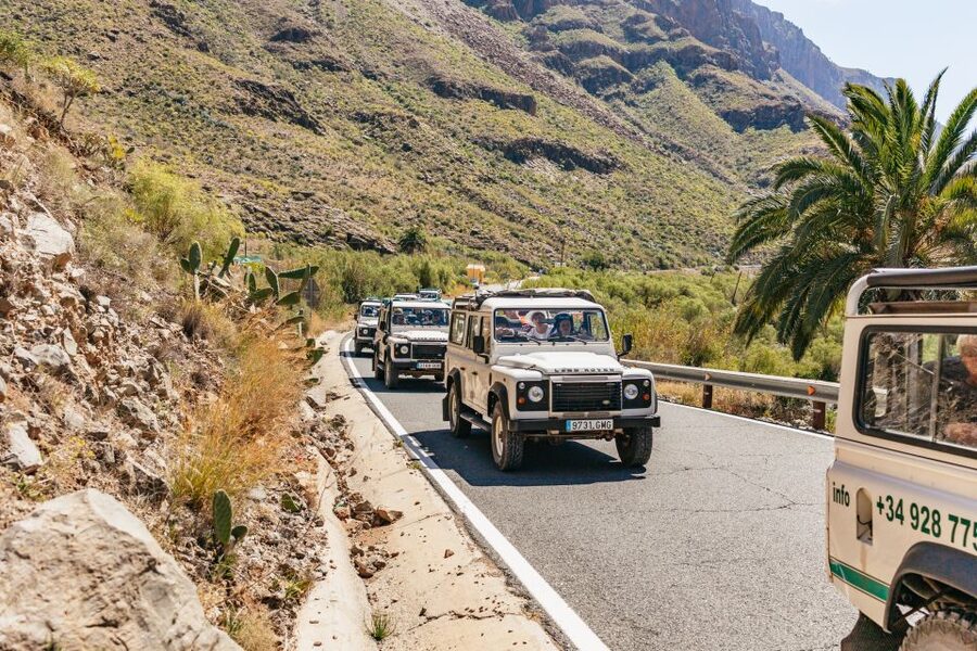 South Gran Canaria: Off-Road Valleys & Villages Jeep Tour - Mirador Las Moscas and the final view