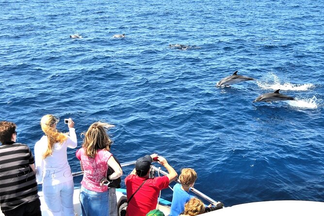 Spirit of the Sea: Cetacean sighting in Gran Canaria - Is $48.27 a fair price?