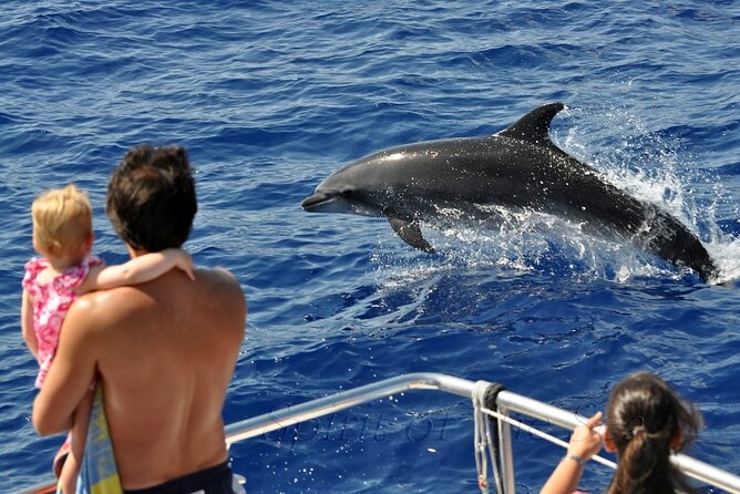 Spirit of the Sea: Cetacean sighting in Gran Canaria - Dolphins, turtles, and flying fish