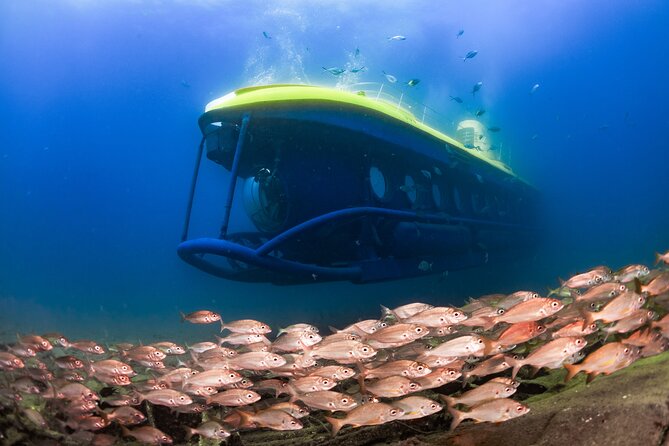 SUBMARINE ADVENTURE - Submarine Excursion in Puerto de Mogán - Key points to know before booking