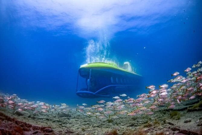 SUBMARINE ADVENTURE - Submarine Excursion in Puerto de Mogán - What the Puerto de Mogán submarine ride is really like