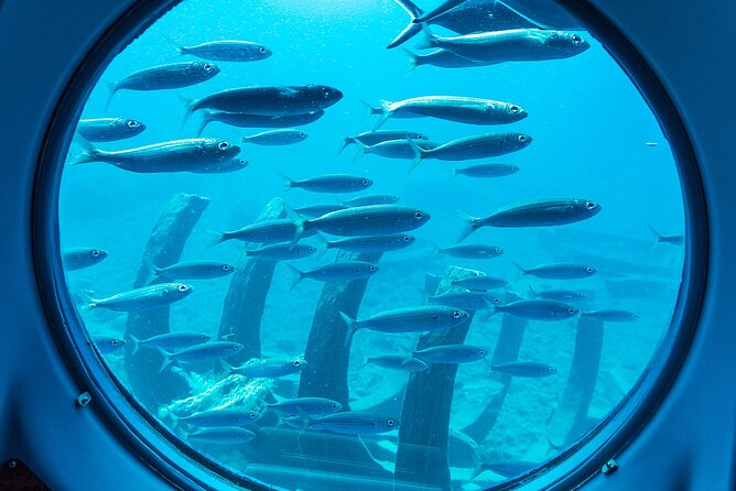 SUBMARINE ADVENTURE - Submarine Excursion in Puerto de Mogán - La Atlántida and the artificial reef