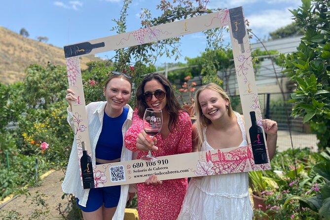 Taste Gran Canaria's unique wines - What makes the guide important